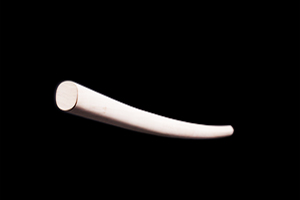 Detailbild Iwama Bokken